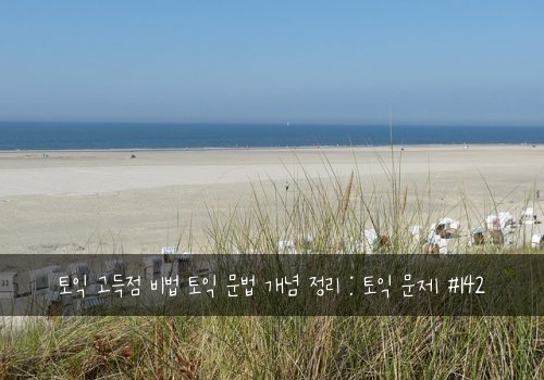 토익 고득점 비법 토익 문법 개념 정리 : 토익 문제 #142