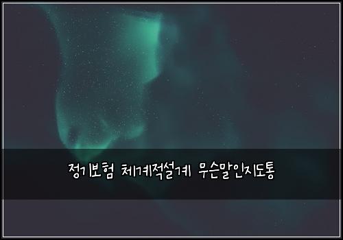 정기보험 체계적설계  무슨말인지도통