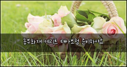 동부화재 메리츠 태아보험 준비하셔요 