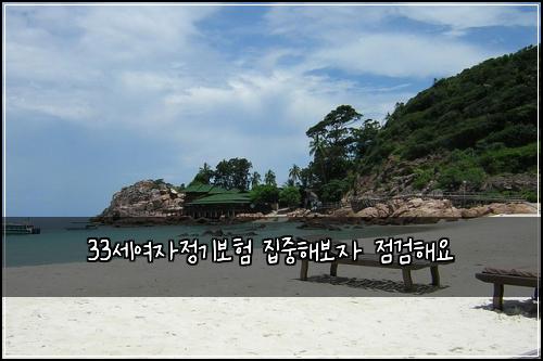 33세여자정기보험 집중해보자  점검해요
