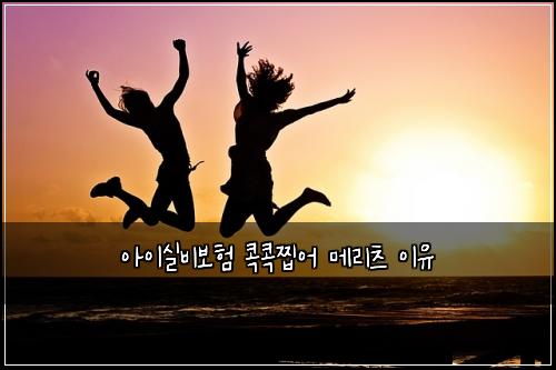 아이실비보험 콕콕찝어  메리츠 이유